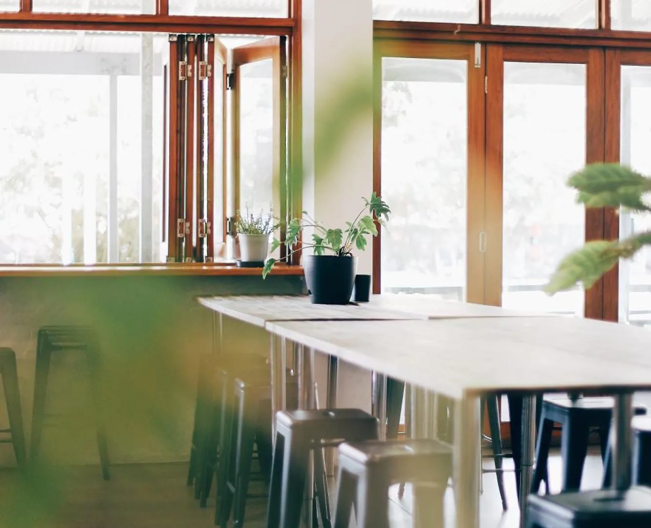 Hostel Life In Byron Accommodation Byron Bay Avustralya